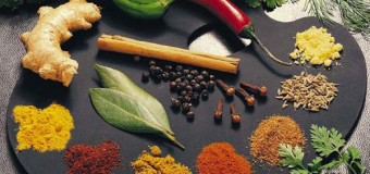 Spices in health giving and anti disease role