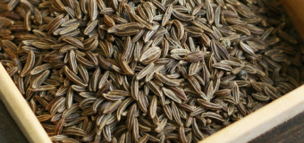 Caraway seeds (Meridian Fennel-Persian Cumin) health benefits