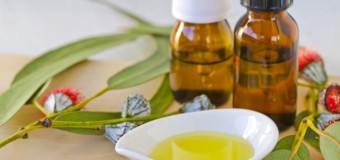 Essential health benefits of using Eucalyptus oil or Eucali thailam