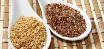 Flax Seeds – Healthy Tiny Seed With  Wonderful Nutritional Gift.