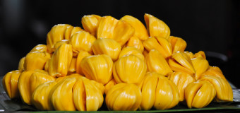 JackFruit – sumer-friendly vegetables- replenish out energies that are depleted from the heat.