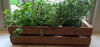 Cocktail friendly indoor herbs  – Get a fragrant kitchen or dining room