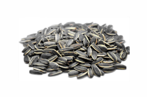 sunflower seeds grey in colour how to uses and purchase on line Natureloc