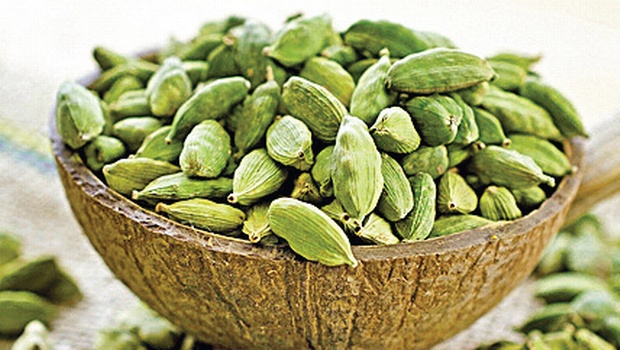 Cardamom Elachi A Delicious Spice Species And Its Uses