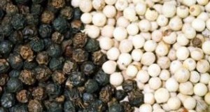 What is Black Pepper and White Pepper?