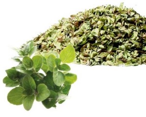 oregano leaves and herbs