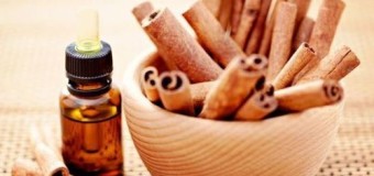 Cinnamon bark (karuvappatta) – Health benefits of cinnamon