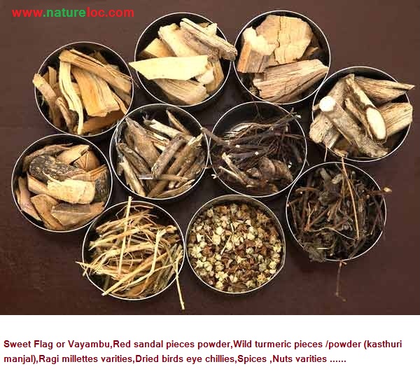 ayurvedic herbs dried plants products buy online natureloc