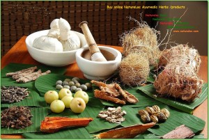 buy natureloc ayurvedic herbs and products online