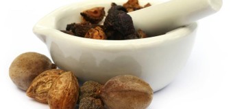 Triphala Three fruits – Amalaki, Bibhitaki and Haritaki (myrobalan plums)