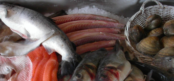 Why fish and shellfish are recommended as an important part of the diet?