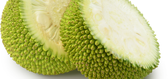 Unripe jackfruits – How mature jackfruits helps fight diabetes?