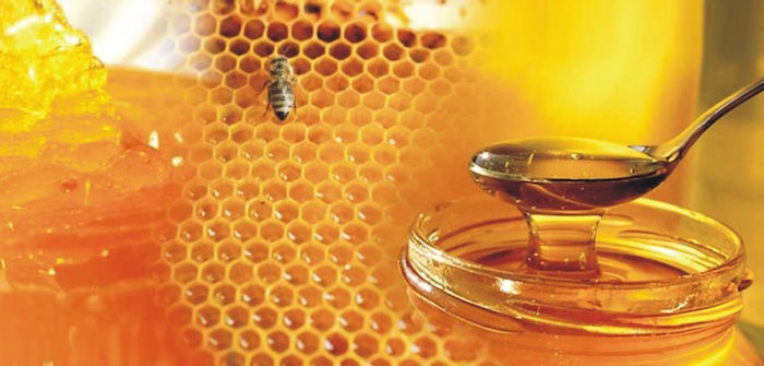 Honey (Raw Honey)