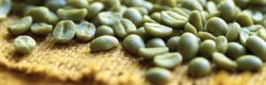 Arabica Coffee Beans- Valued coffee bean species