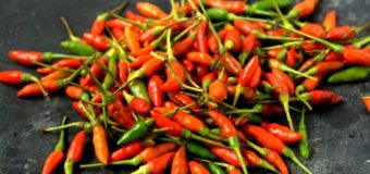 Bird’s Eye Chilli or Kanthaari Mulaku-Are you Aware about the Contribution of Bird’s Eye Chilli in Our Body Metabolism