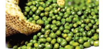 Green gram dal – combines health and beauty in nature