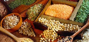 Pulses legumes-Surprising facts about pulses you might know