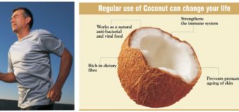 Coconut Products – Coconut Palm Jaggery – Coconut Palm Sugar