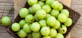 Amla (Phyllanthus Emblica) – The Indian Gooseberry