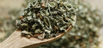 Top Benefits Of Basil Leaf (Tulsi) – King Of Herbs