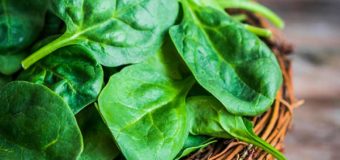 Top Benefits Of Spinach Leaf (Palak) – The Persian Vegetable