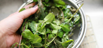 Top Benefits Of Mint Leaf (Puthinayila) – The Lamiaceae Famiy