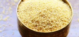 Foxtail Millet  – Health Benefits, Uses, History