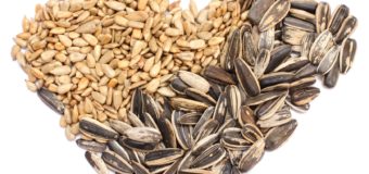 Mixed Edible Seeds – Why You Should Have Mixed Edible Seeds ?