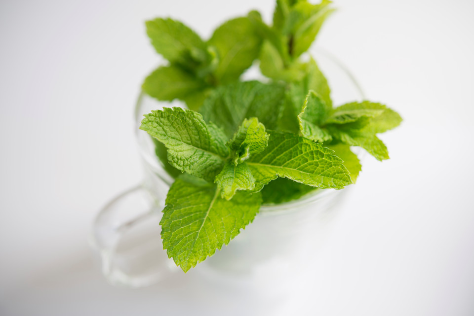 Benefits Of Mint Leaf