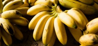 Bananas: 5 Astonishing Reasons To Start Eating Bananas Today