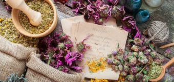 7 Homeopathy Medicinal Plants You Never Knew About