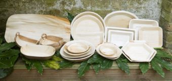 Palm Leaf : Nature’s Gift – Why Use Disposable Palm Leaf Plates ?