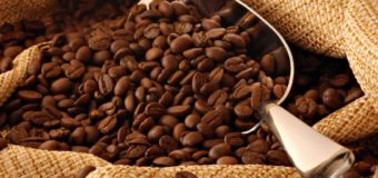 Health Benefits Of Coffee Beans – Why You Must Drink Coffee