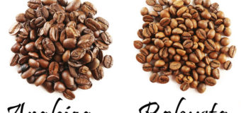 What are the different types of Coffee Beans ? Arabica & Robusta Coffee Beans