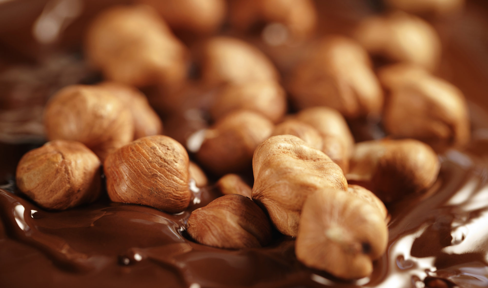 5 Reasons To Start Eating Hazelnuts History Health Benefits NatureLoC