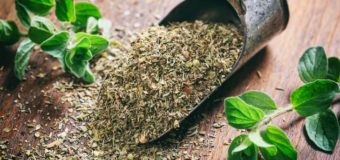 Oregano | Joy of the Mountains | 5 Best Health Benefits | NatureLoC