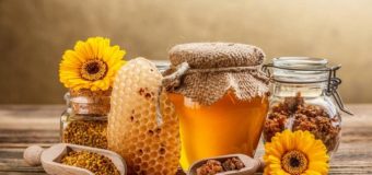 8 Honey Benefits Which Will Improve Your Body Health Quick