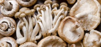 Edible Mushrooms | 6 Reasons Why You Should Eat Mushrooms Without Any Fear