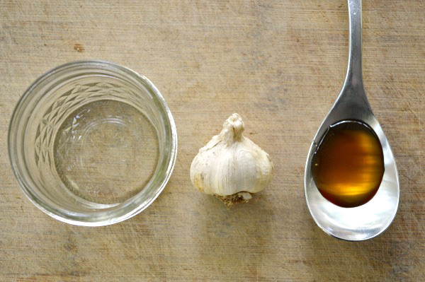 Raw Garlic And Honey For Weight Loss