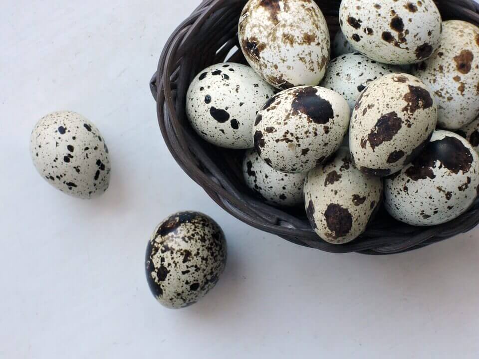 quail egg recipes kerala