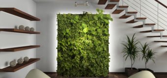 Vertical Garden – Everything You Need To Know About Vertical Gardens