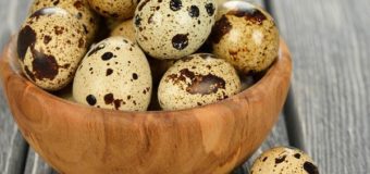 Quail Eggs-What Are Quail Eggs?