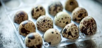 10 Quail Eggs (Kada Mutta) Health Benefits Which You Must Know