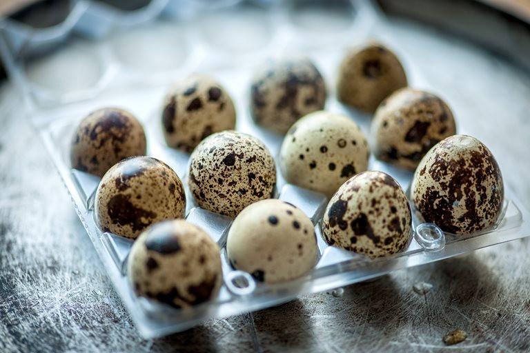 10 Quail Eggs (Kada Mutta) Health Benefits Which You Must Know