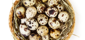 Quail Eggs Kada Mutta-Are quail eggs more nutritious than chicken eggs?