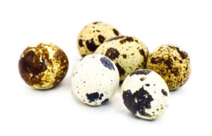 Kada Mutta NatureLoC.com Quail Eggs buy online