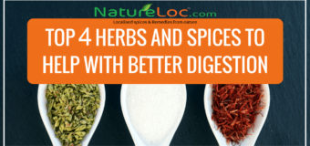 Herbs For Digestion: 4 Herbs That Can Magically Improve Digestion