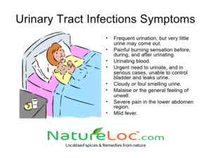 Urinary Tract Infection Home Remedies