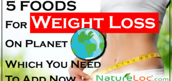 5 Foods For Weight Loss On Planet Earth Which You Need To Add Now