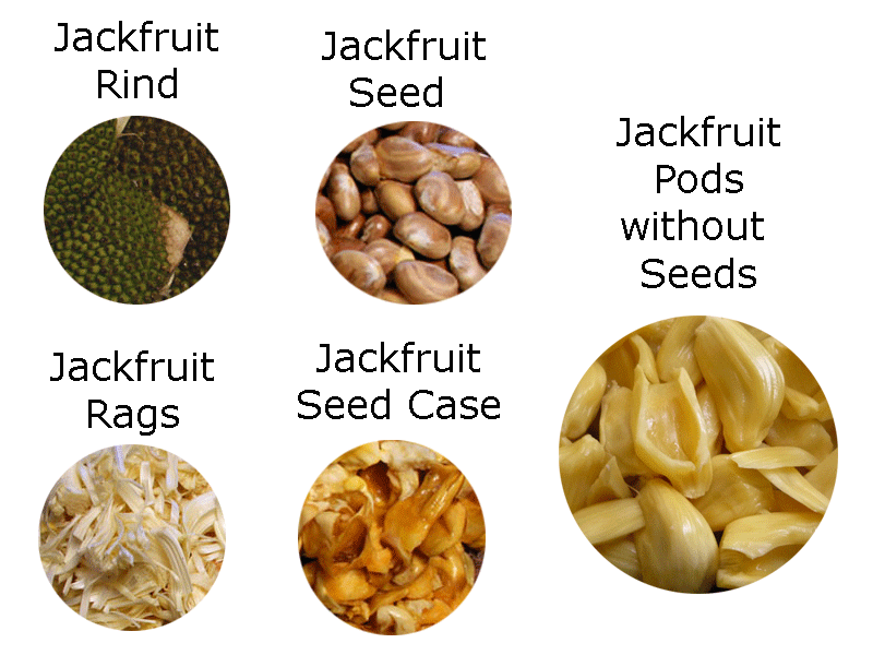 natureloc-jackfruit-flour-or-powder-1